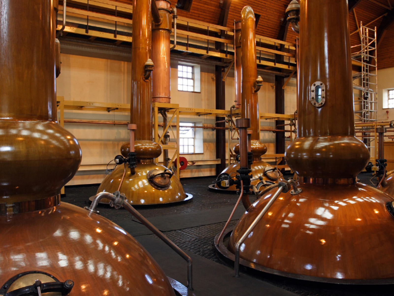 Master Distiller update | Chartered Institute of Brewers and Distillers